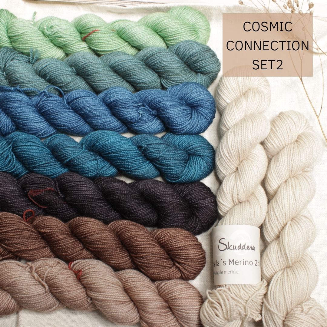 COSMIC CONNECTION von Lisa K. Ross