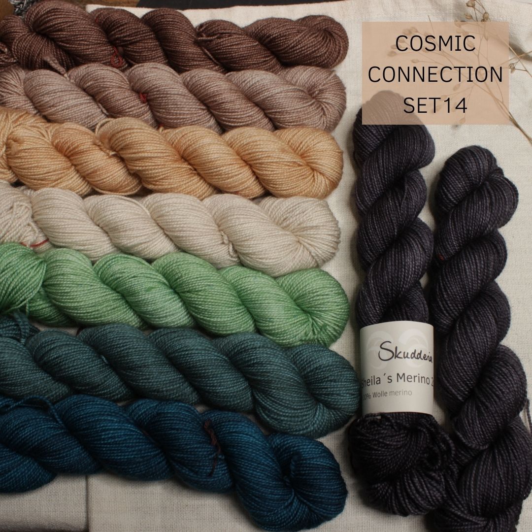 COSMIC CONNECTION von Lisa K. Ross