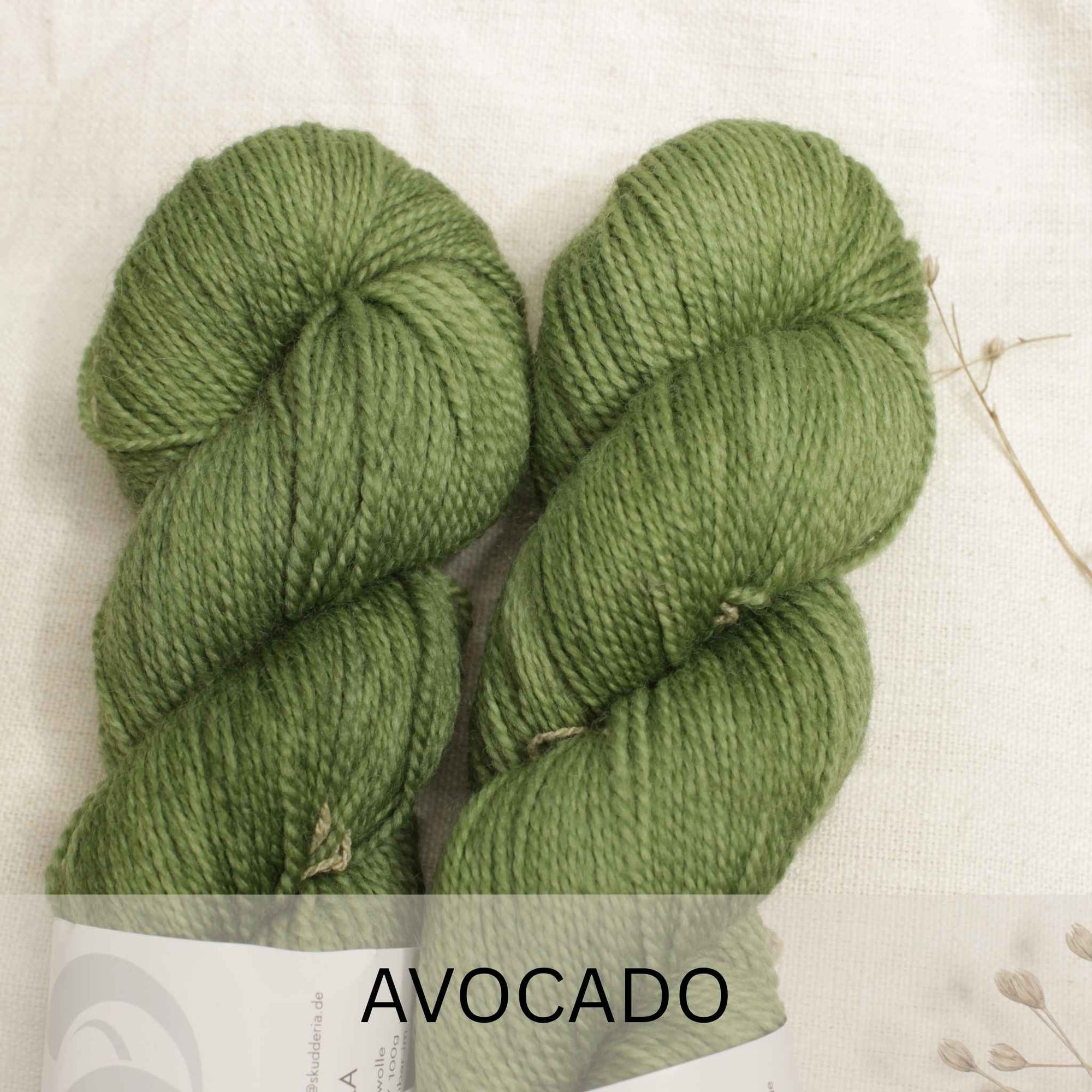 SEMILLA SALE
