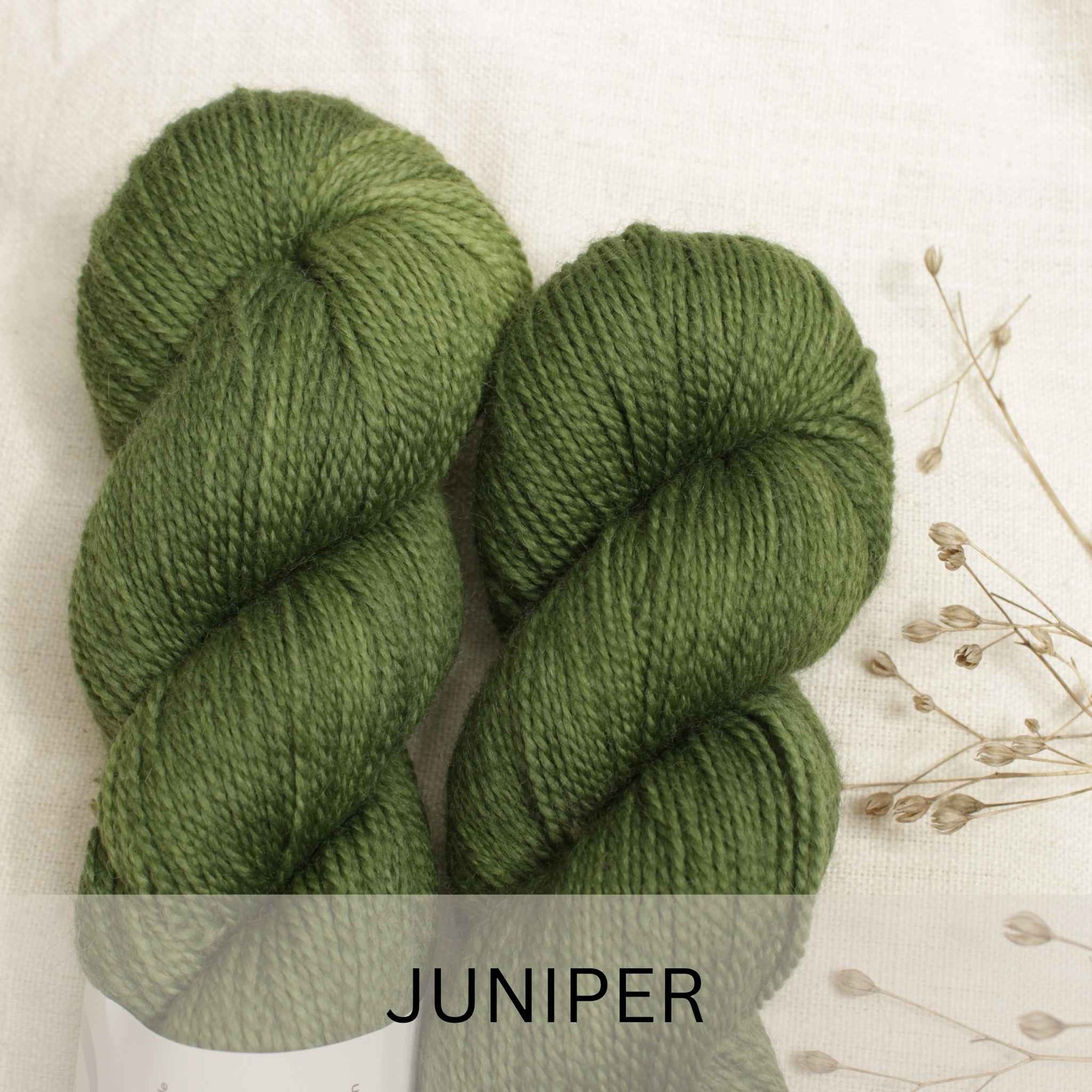 SEMILLA SALE