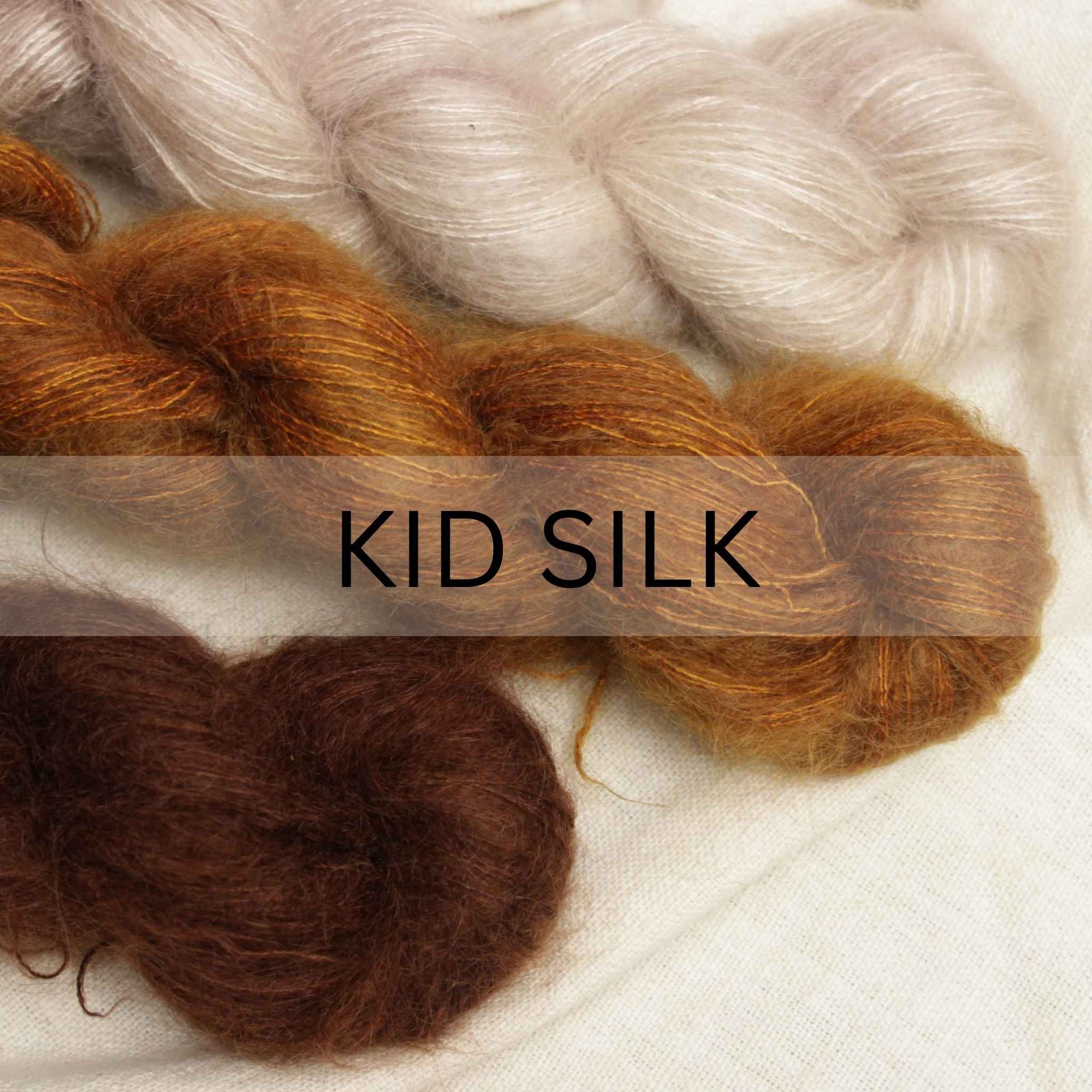 Kid Silk