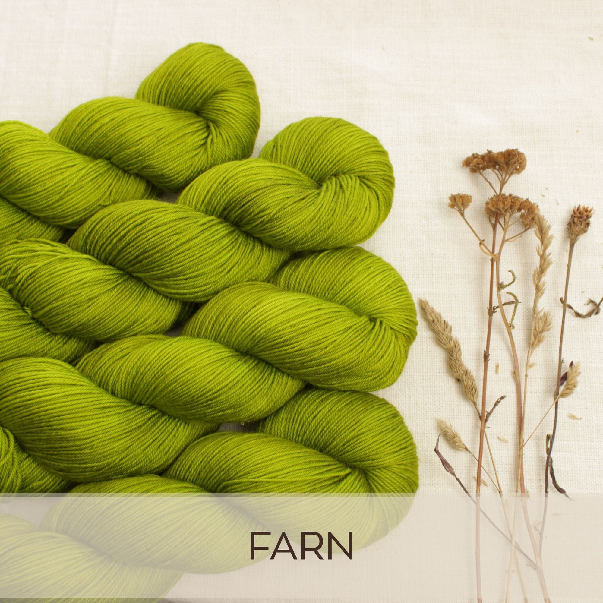 Farn - Merino Pur