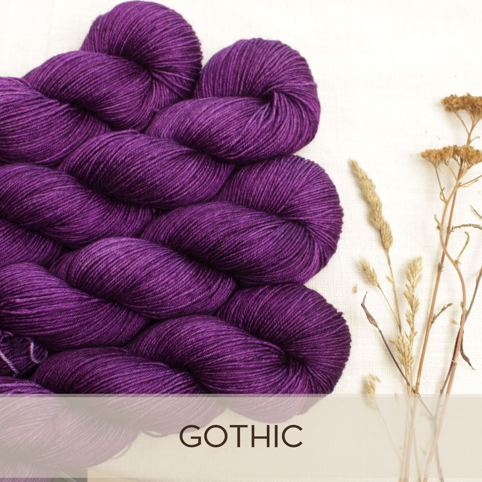 Gothic - Merino Pur