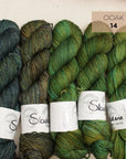 Skywalker DK OOAK Sets