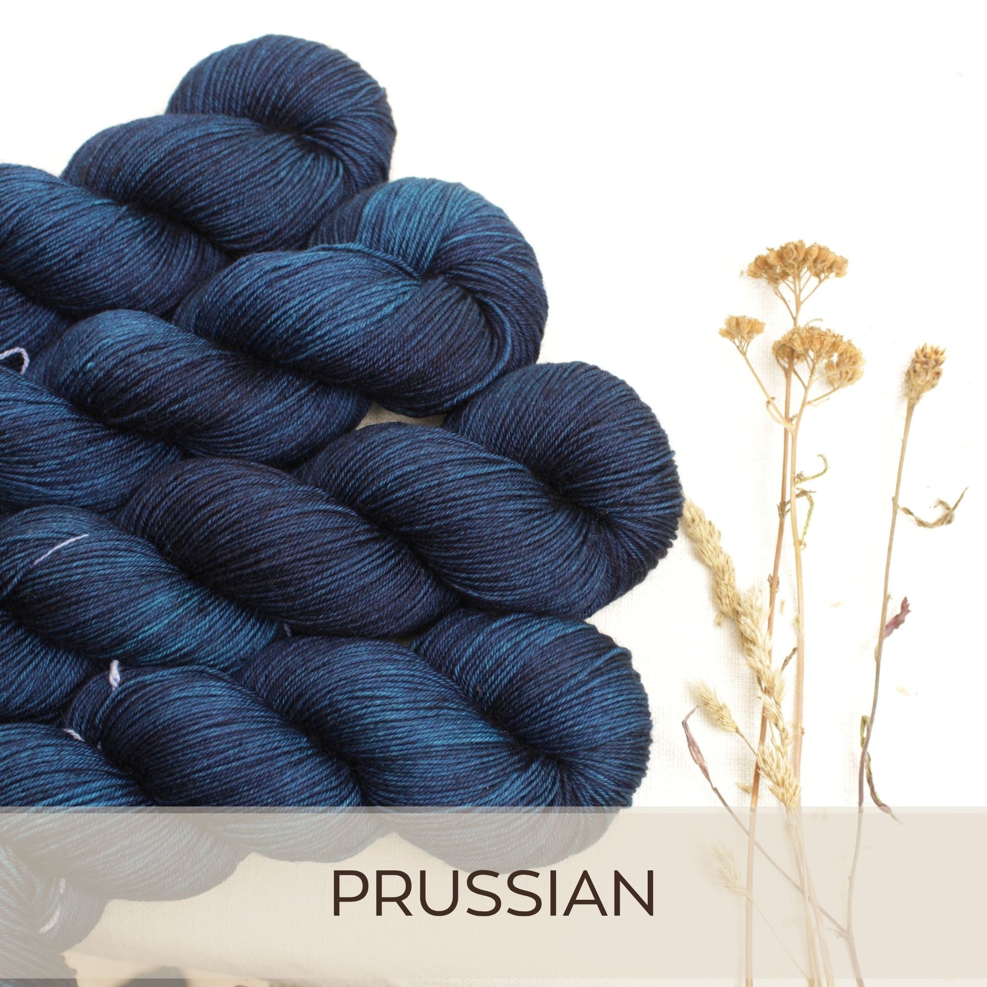 Prussian - Merino Pur