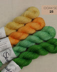 Merino Baby 50 Garnset