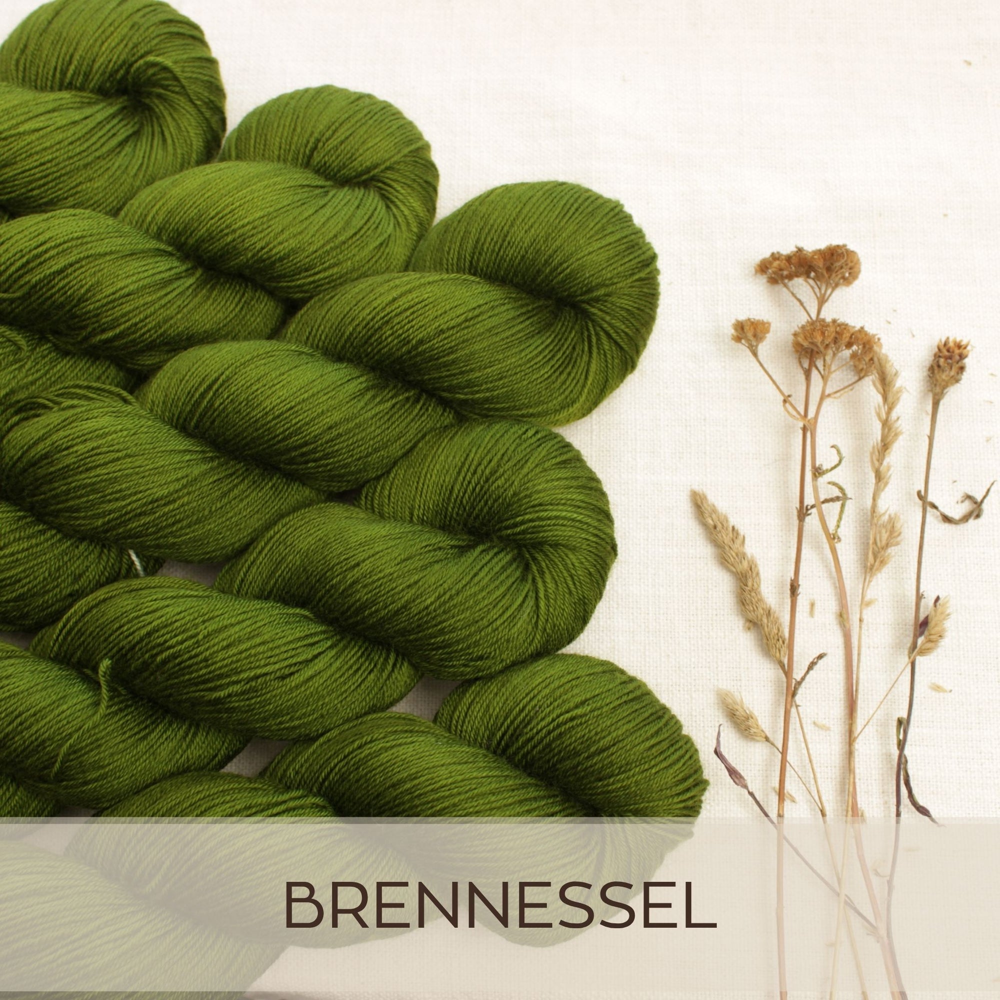 Brennessel - Merino Pur
