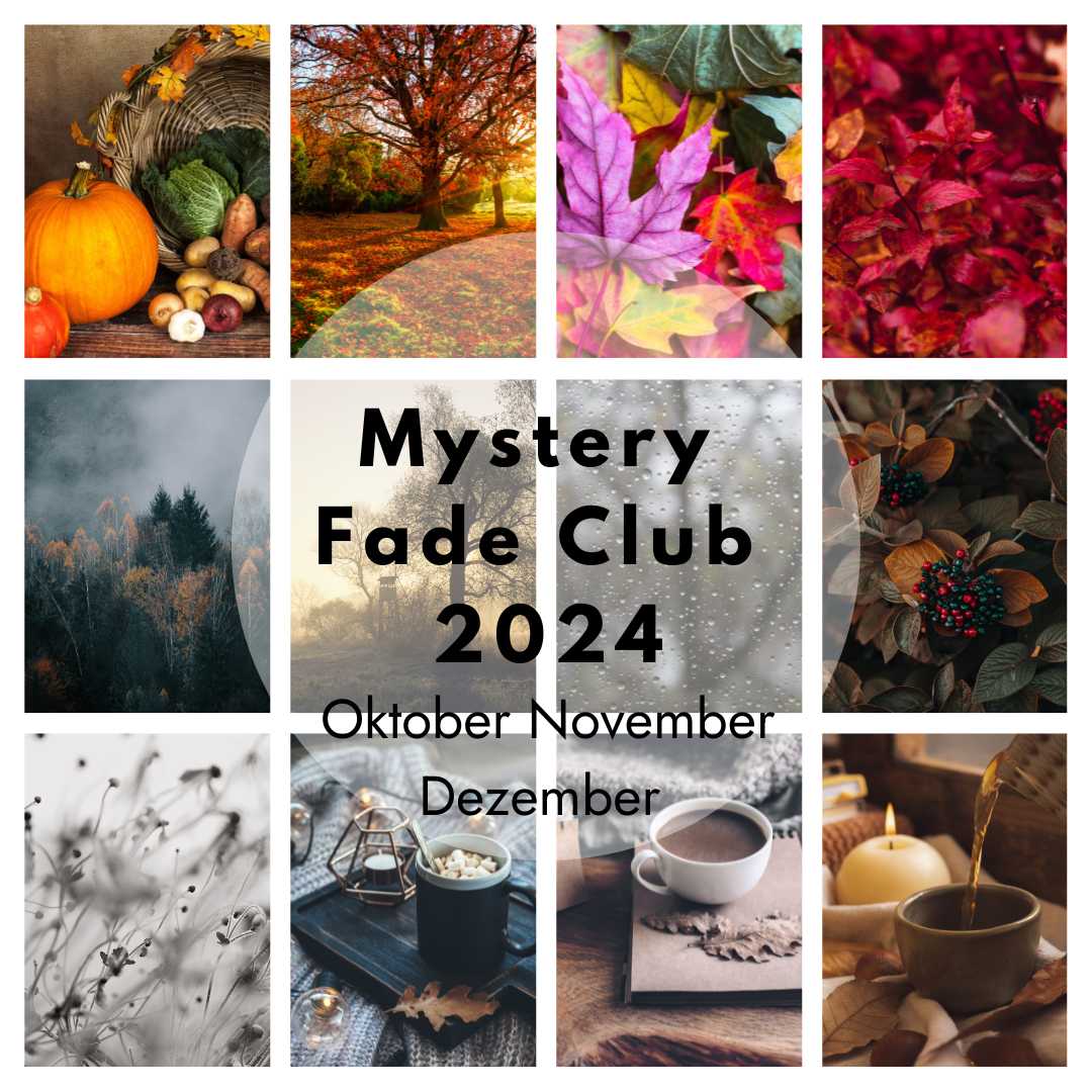 Mystery Fade Club - Farbverlauf 2024