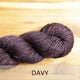 DAVY