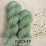 Flechte