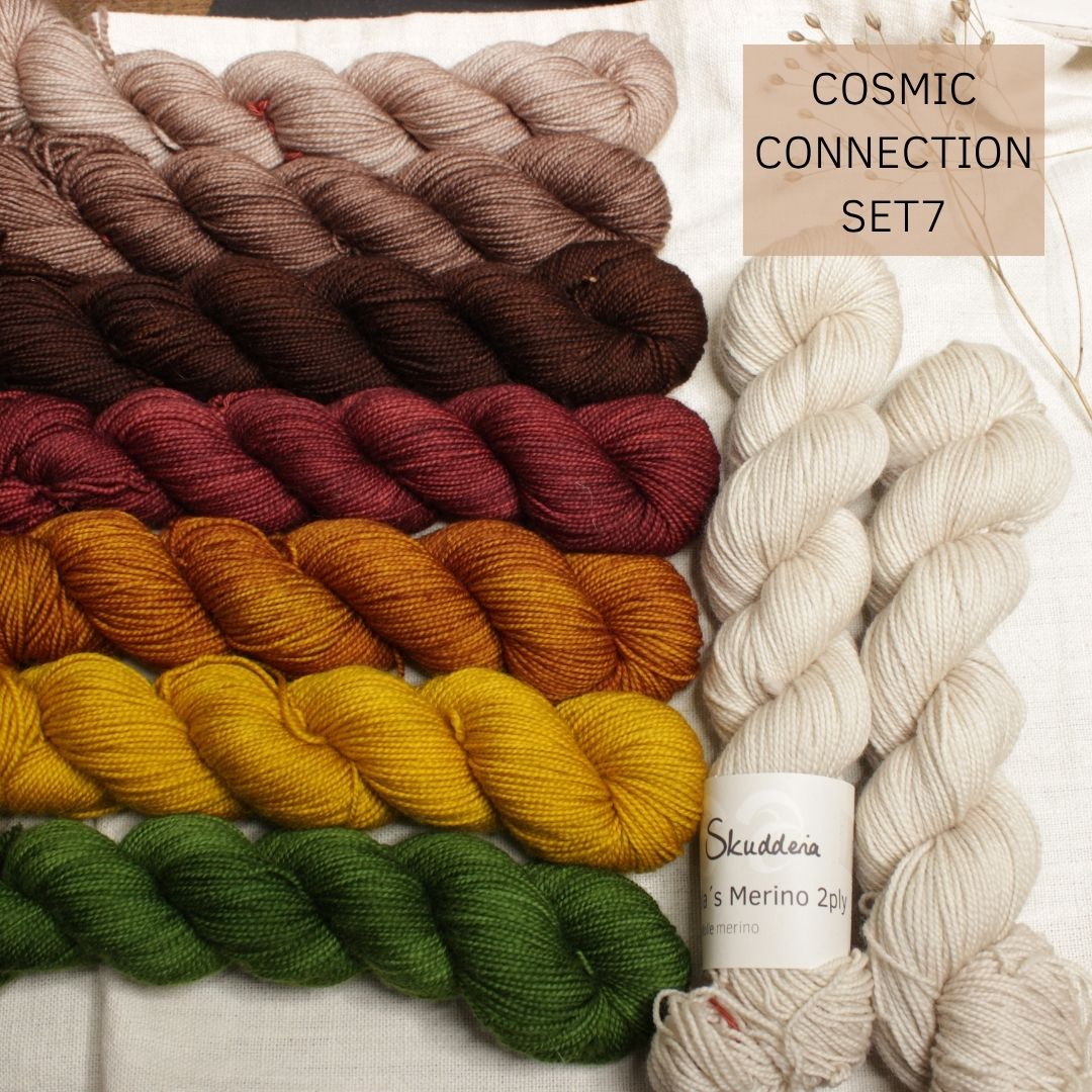 COSMIC CONNECTION von Lisa K. Ross