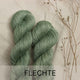 Flechte