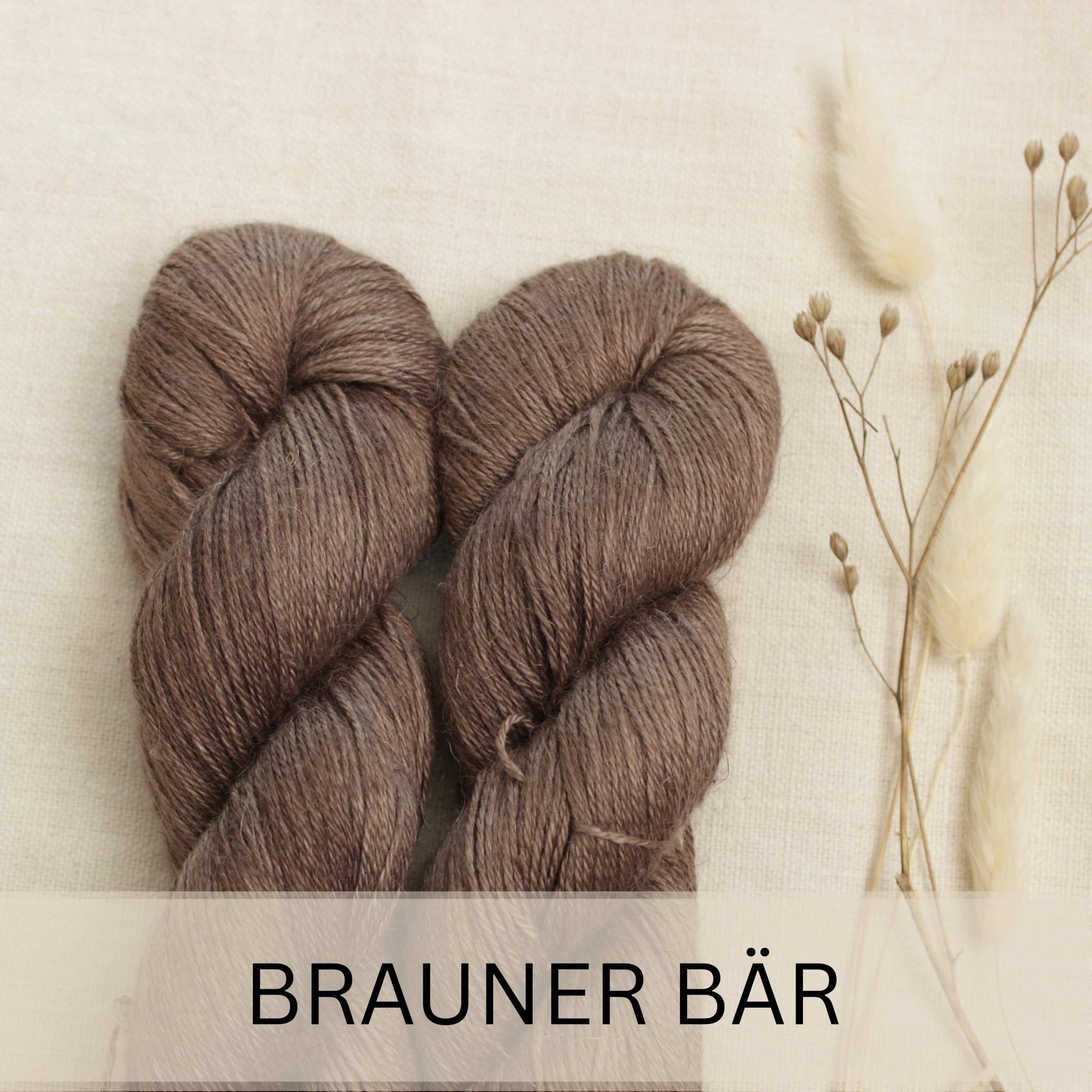 Brauner Bär - Egypt