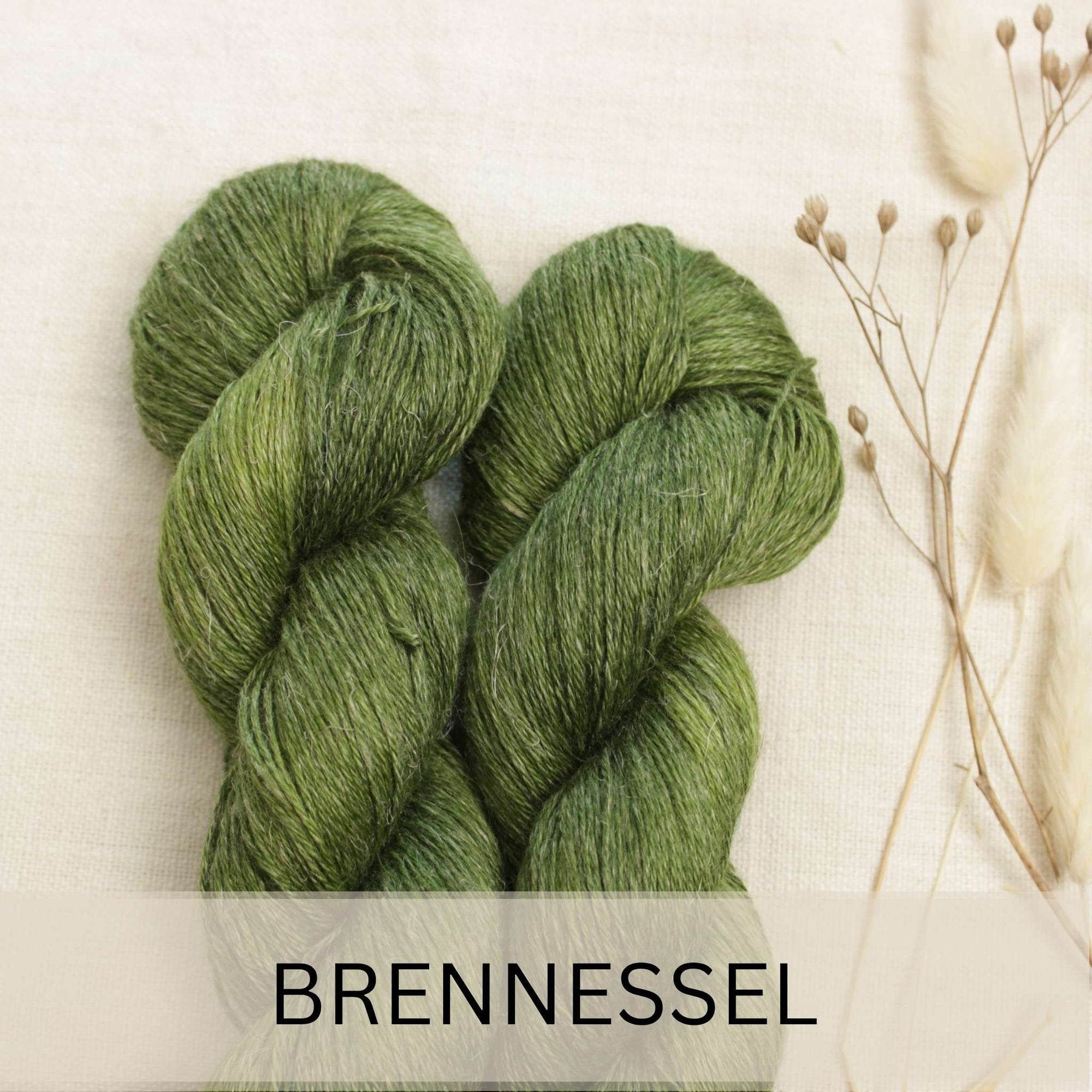 Brennessel - Egypt