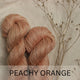 Peachy Orange