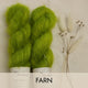 Farn