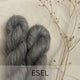 Esel
