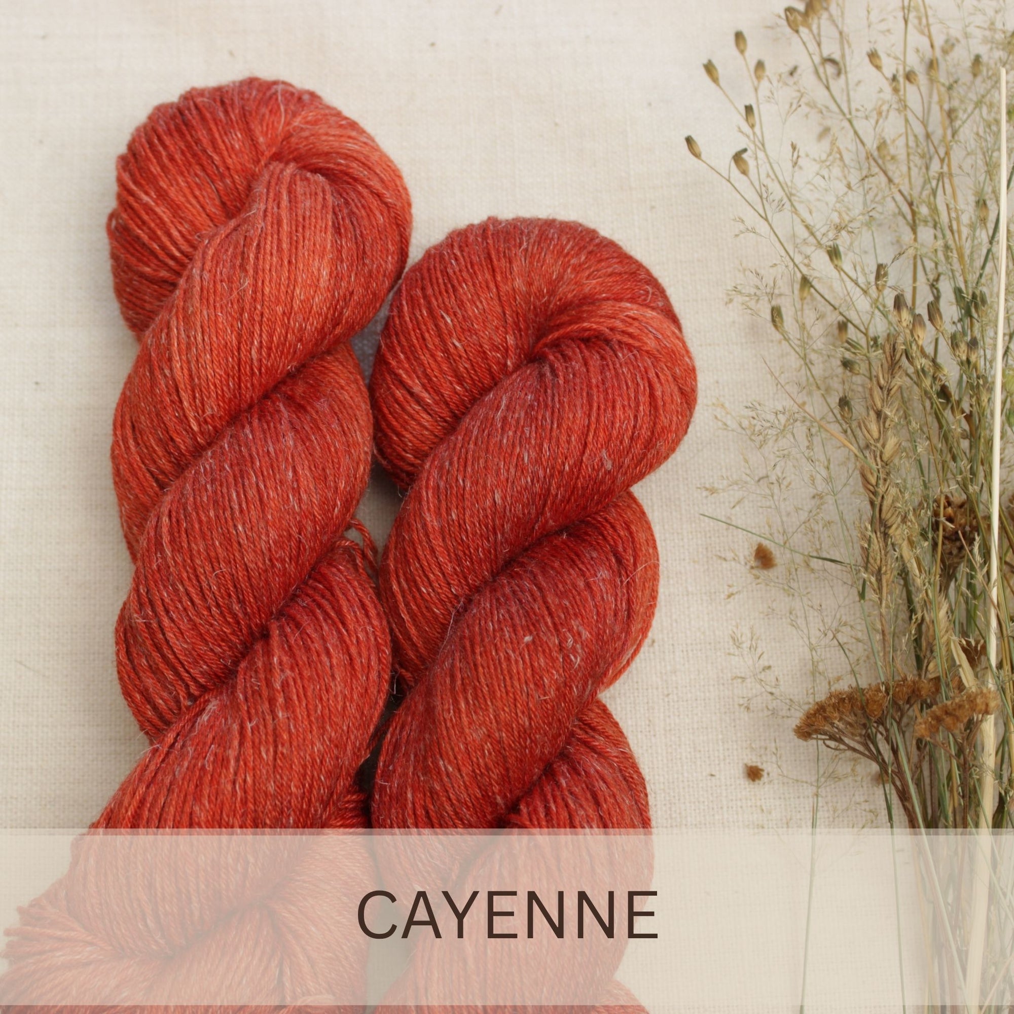 Cayenne - Marrakesch