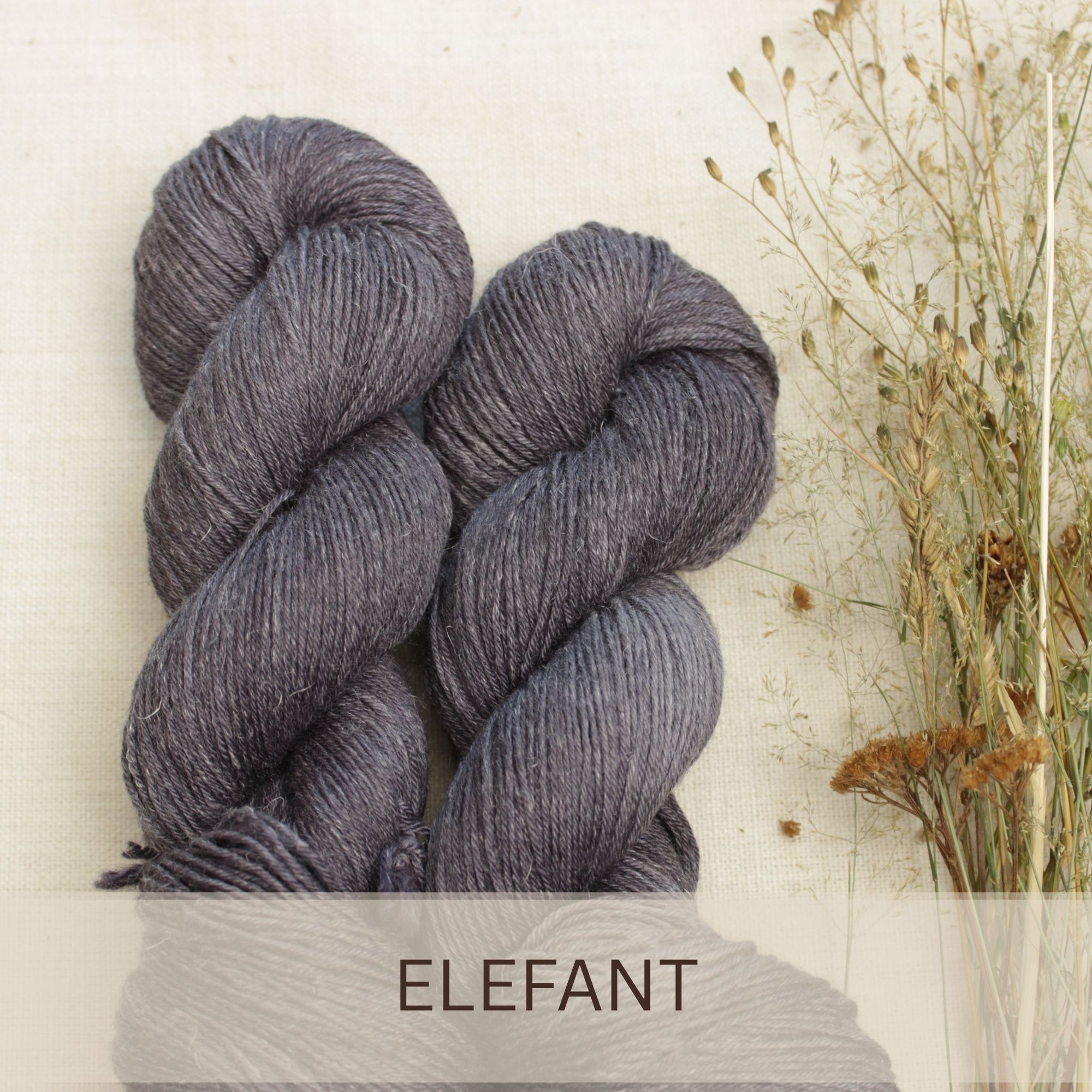 Elefant - Marrakesch