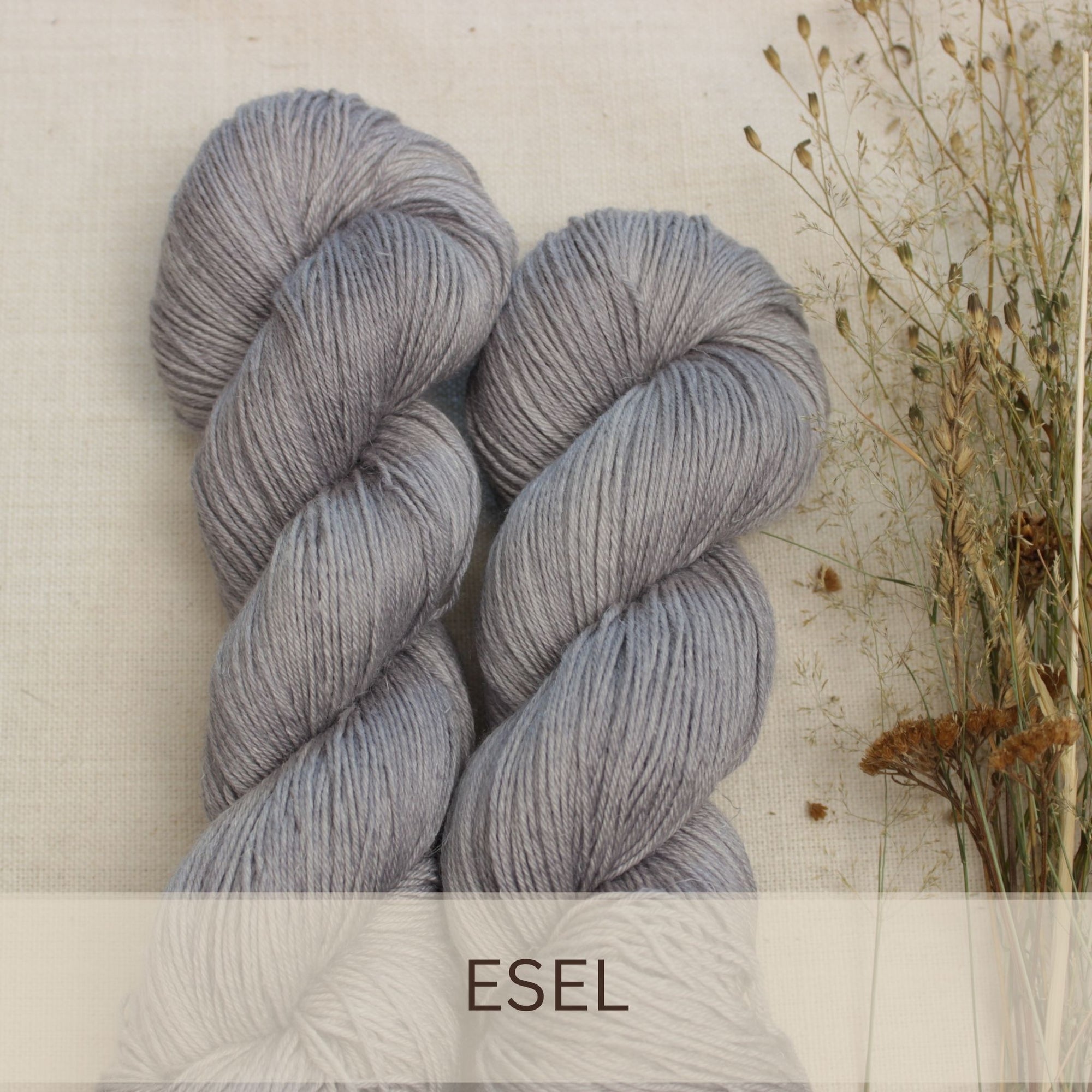 Esel - Marrakesch