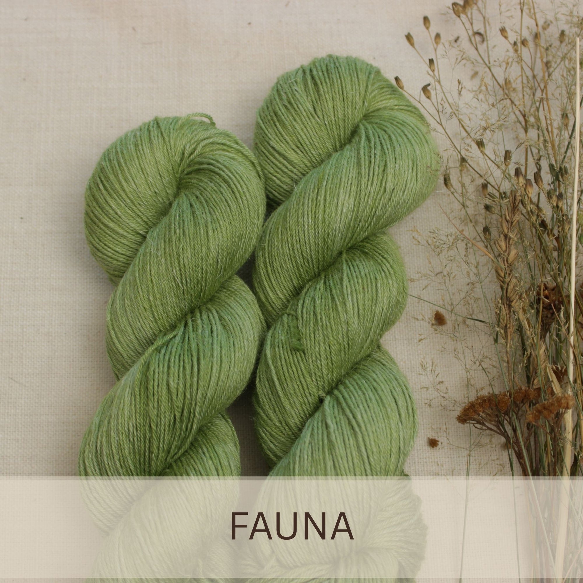 Fauna - Marrakesch