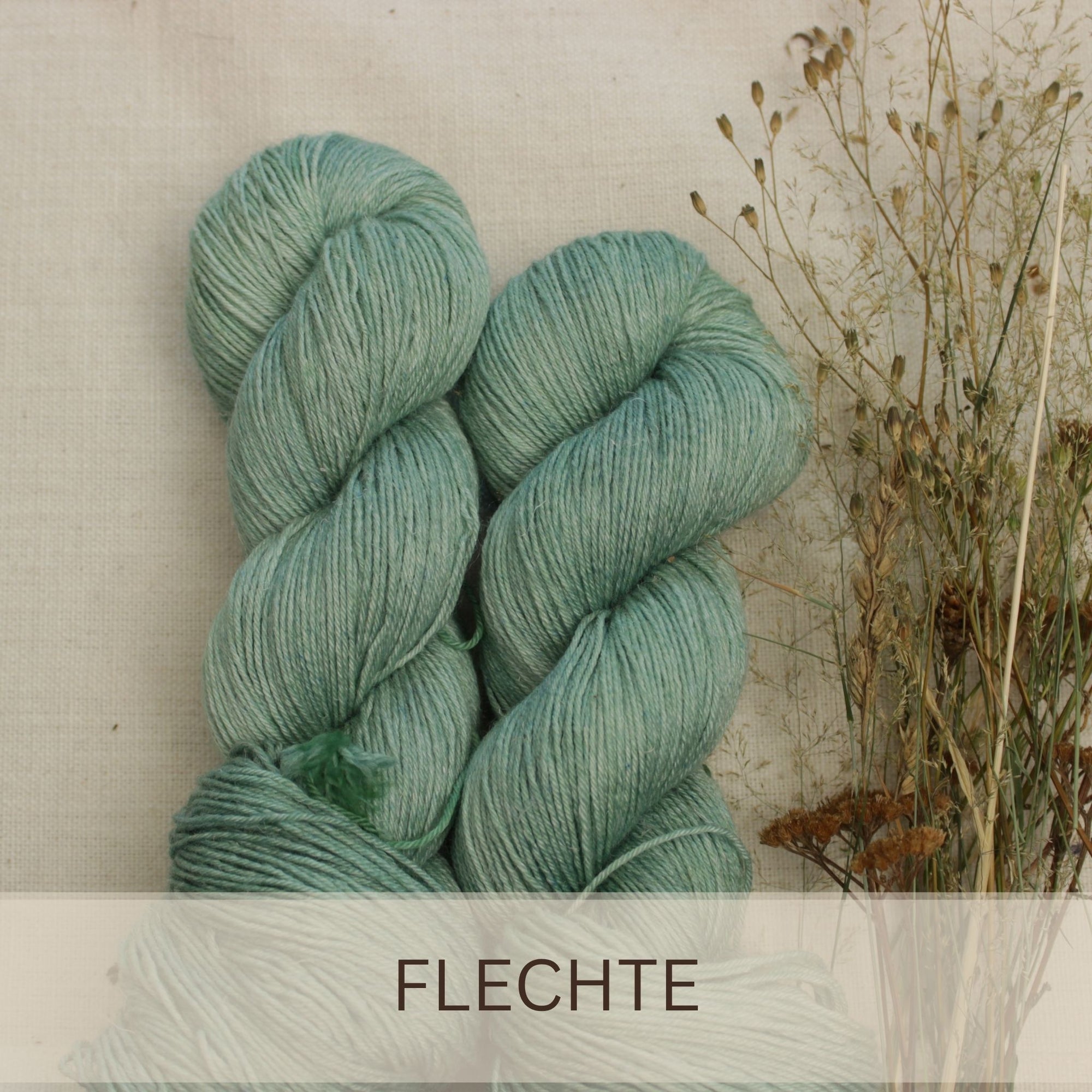 Flechte - Marrakesch