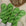 Merino Baby 50g - OOAK #035