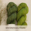 Brennessel/ Farn
