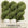 BRENNESSEL - Organic Woolin