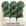 SACRAMENTO - Organic Woolin