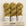 SENF - Organic Woolin