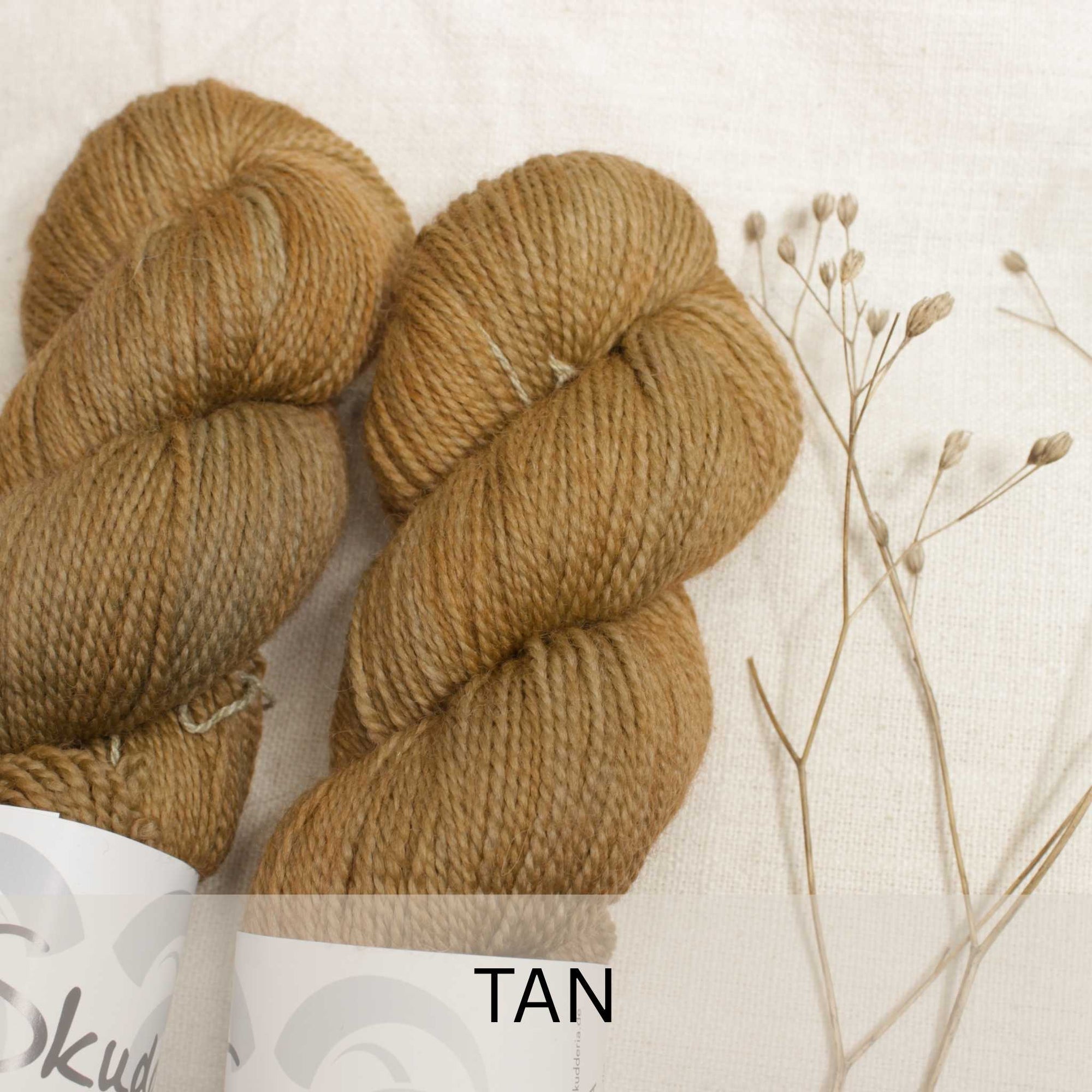 SEMILLA SALE
