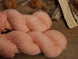 N012 - Semilla