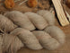 N013 - Semilla