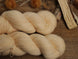 N014 - Semilla