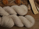 N015 - Semilla