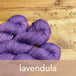 lavendula